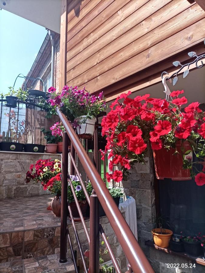 Hotel Damaris Sozopol Zewnętrze zdjęcie