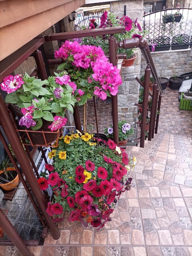 Hotel Damaris Sozopol Zewnętrze zdjęcie